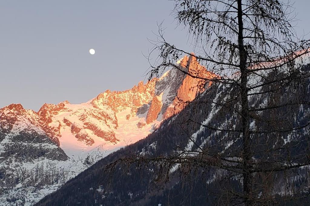 Bel Appartement Entier En Style Chalet A Chamonix Dış mekan fotoğraf